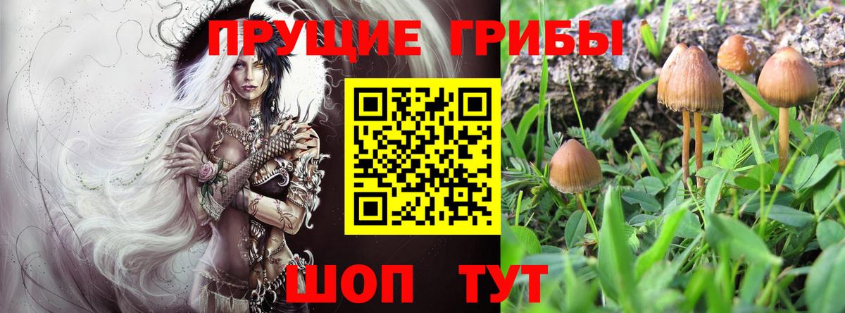 Галлюциногенные грибы MAGIC MUSHROOMS Шали